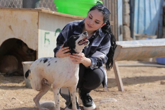 Видео: «Ты сама собака, поэтому помогаешь им» – Луизу Расулову зайхетили за помощь животным