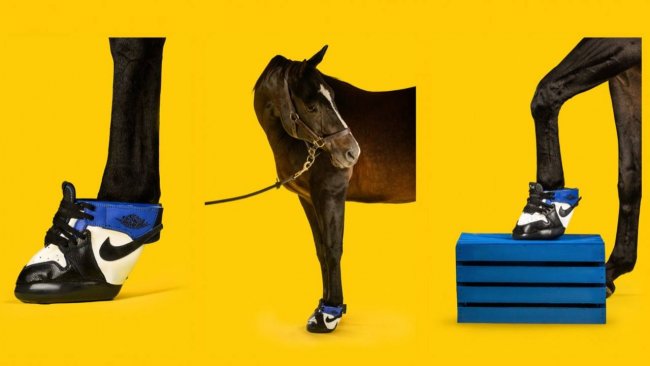 Дизайнеры выпустили кроссовки для лошадей за 13 миллионов сумов