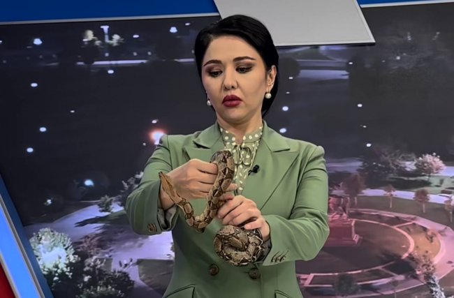Видео: Узбекскую телеведущую Ироду Насырову укусила змея