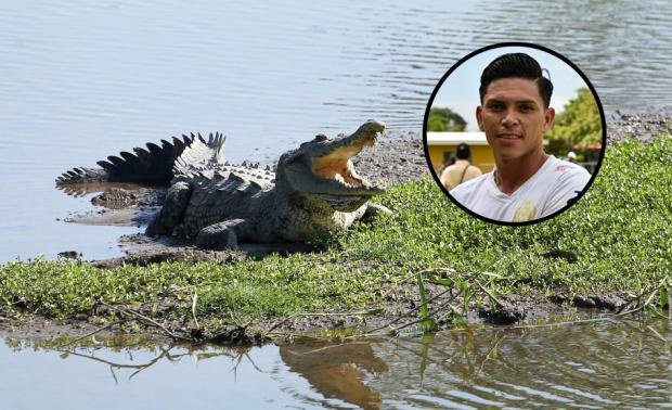 Крокодил заживо съел 29-летнего футболиста в Коста-Рике