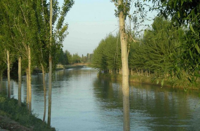 В Большом Ферганском канале утонул 20-летний парень
