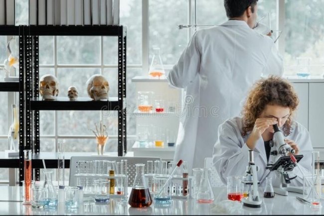 Ученые из Швейцарии нашли в организме человека новый орган