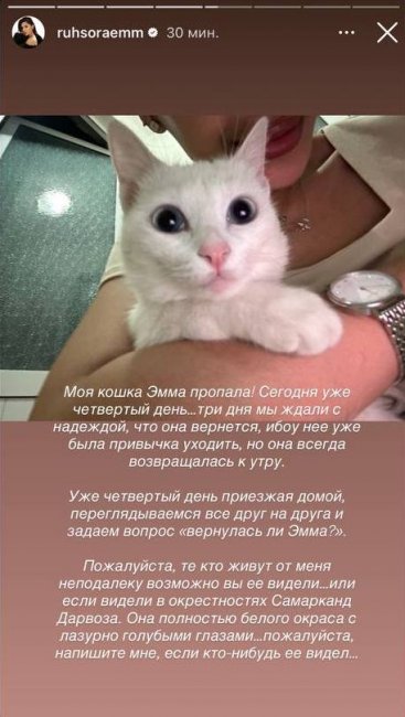 Узбекская блогерша Рухсора Эм расплакалась из-за пропажи своей кошки